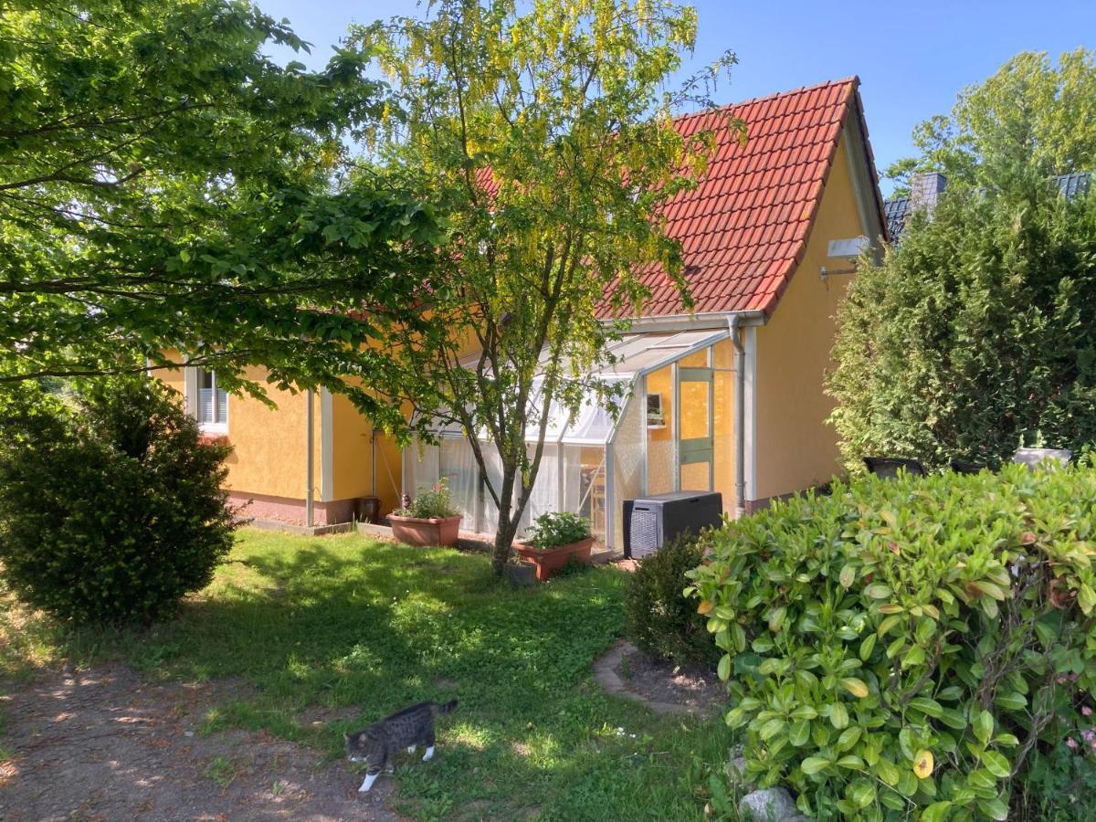 Ferienhaus -Villa Huehnerstall- Hessenburg Dış mekan fotoğraf
